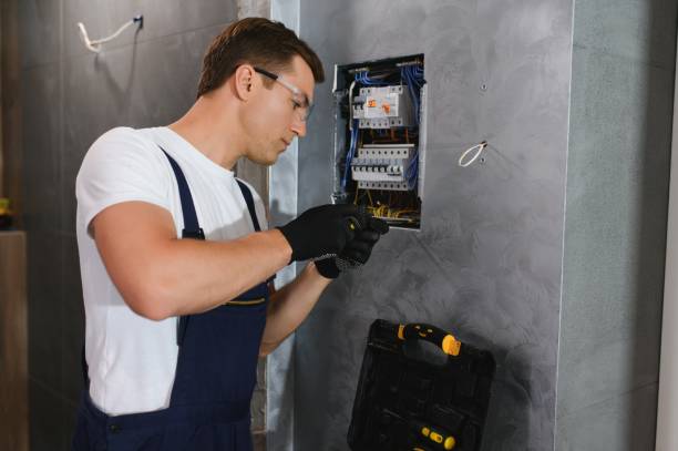Best Electrical System Inspection  in Pleasanton, CA